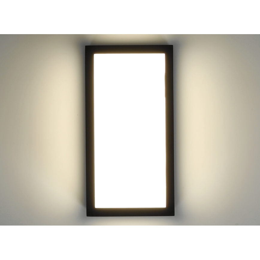 LED Zunanja stenska svetilka ENTERA LED/10W/230V 4000K IP54