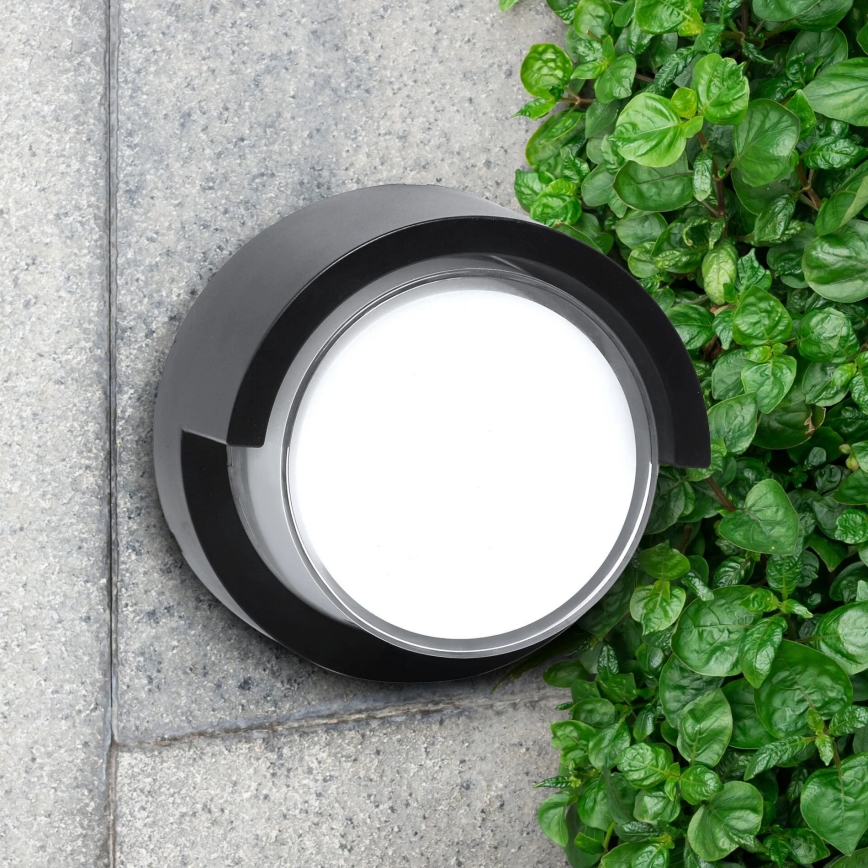 LED Zunanja stenska svetilka ESSEN LED/10W/230V IP44 črna