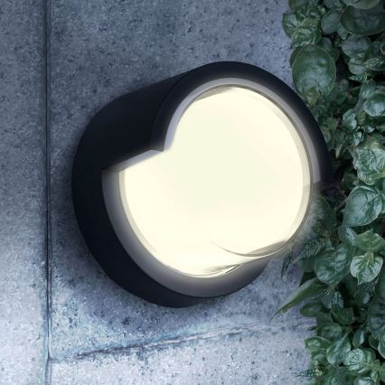 LED Zunanja stenska svetilka ESSEN LED/10W/230V IP44 črna