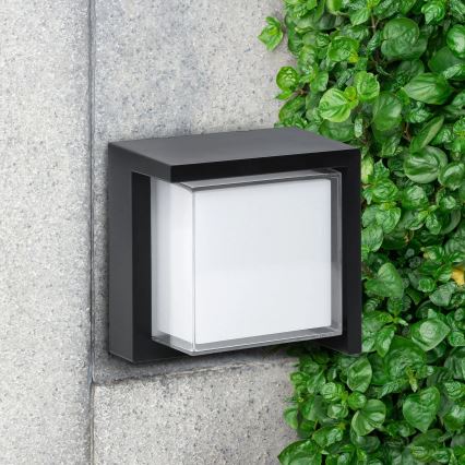 LED Zunanja stenska svetilka ESSEN LED/12W/230V IP44 črna