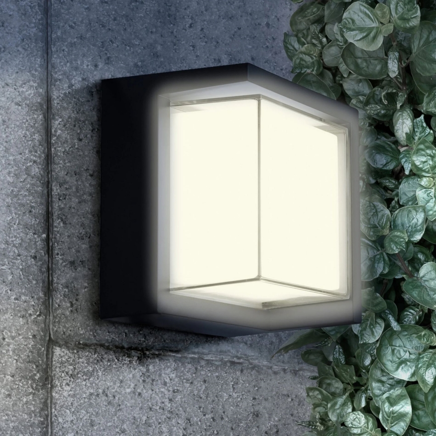 LED Zunanja stenska svetilka ESSEN LED/12W/230V IP44 črna