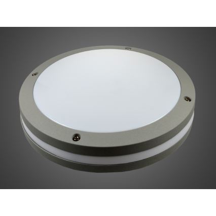 LED zunanja stenska svetilka JONAS LED/18W/230V IP54 siva