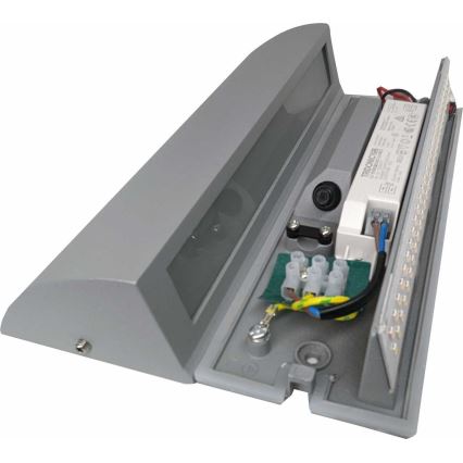 LED Zunanja stenska svetilka LED/10W/230V IP54