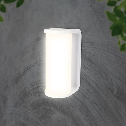 LED Zunanja stenska svetilka LED/12W/230V 3000/4200/6500K IP65 bela