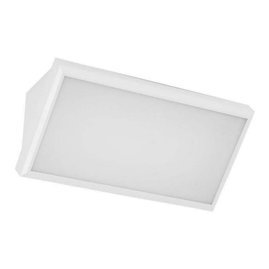 LED Zunanja stenska svetilka LED/12W/230V 3000K IP65 bela