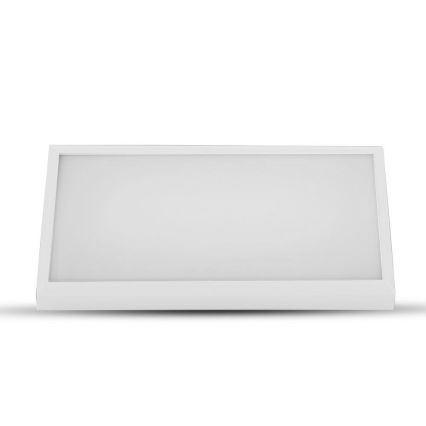 LED Zunanja stenska svetilka LED/12W/230V 3000K IP65 bela