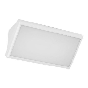 LED Zunanja stenska svetilka LED/12W/230V 6400K IP65 bela