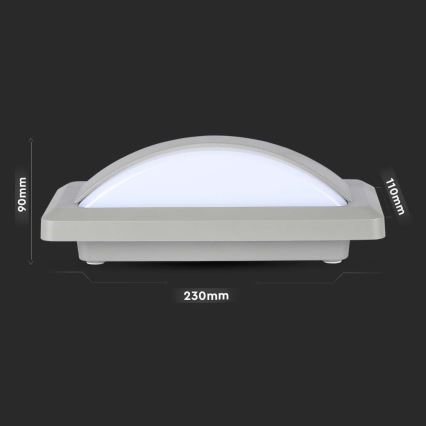 LED Zunanja stenska svetilka LED/12W/230V 6400K IP65