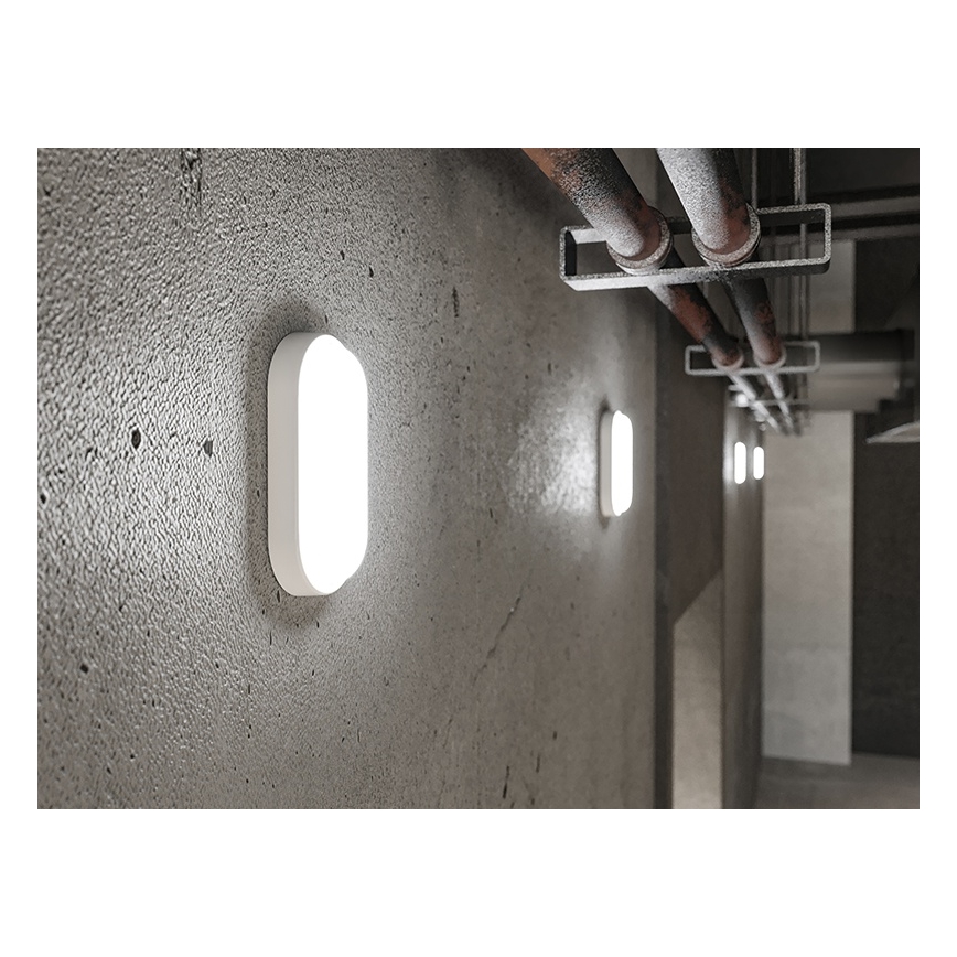 LED zunanja stenska svetilka LED/12W/230V IP54 bela