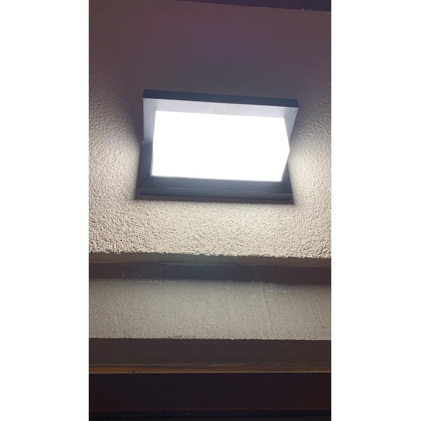 LED Zunanja stenska svetilka LED/12W/230V IP54 črna