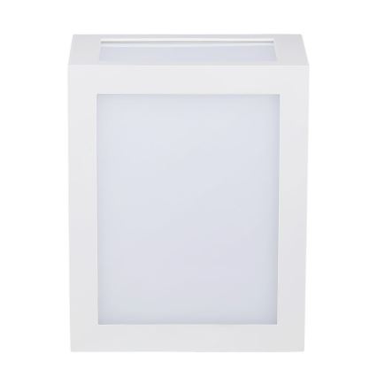 LED Zunanja stenska svetilka LED/12W/230V IP65 4000K bela