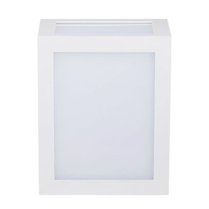 LED Zunanja stenska svetilka LED/12W/230V IP65 4000K bela