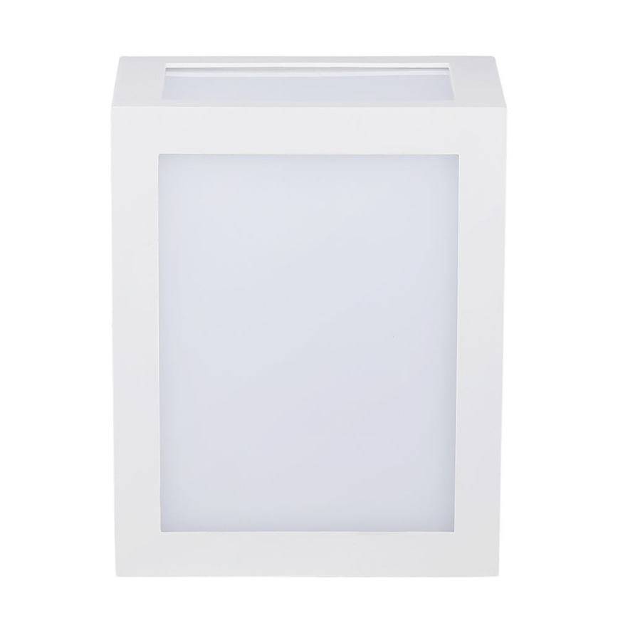LED Zunanja stenska svetilka LED/12W/230V IP65 4000K bela