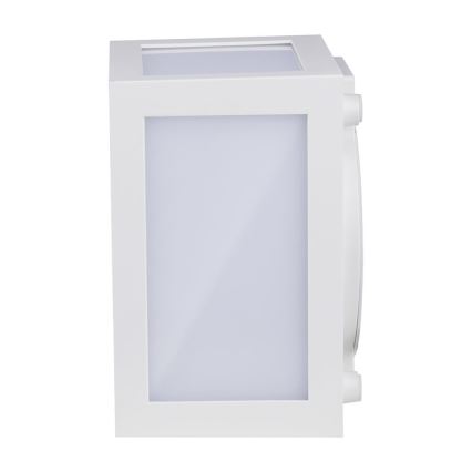 LED Zunanja stenska svetilka LED/12W/230V IP65 4000K bela