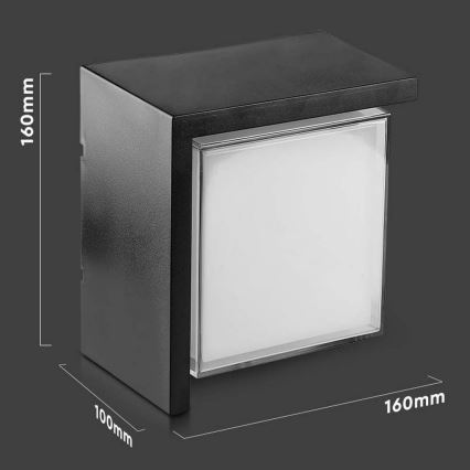 LED Zunanja stenska svetilka LED/12W/230V IP65