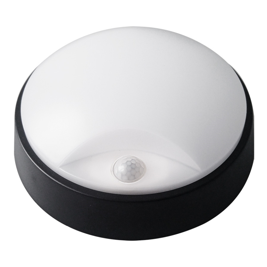 Greenlux - LED Zunanja stropna svetilka LED/14W/230V IP54