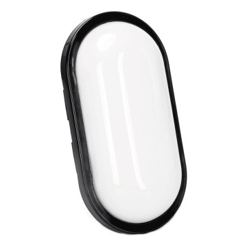 LED Zunanja stenska svetilka LED/15W/230V 6500K črna IP65