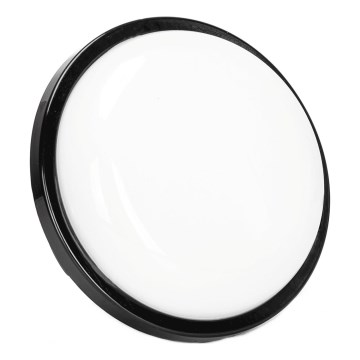 LED Zunanja stenska svetilka LED/15W/230V 6500K pr. 15,5 cm črna IP65