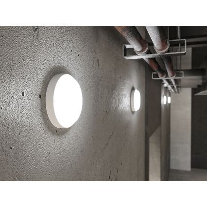 LED zunanja stenska svetilka LED/18W/230V IP54 bela