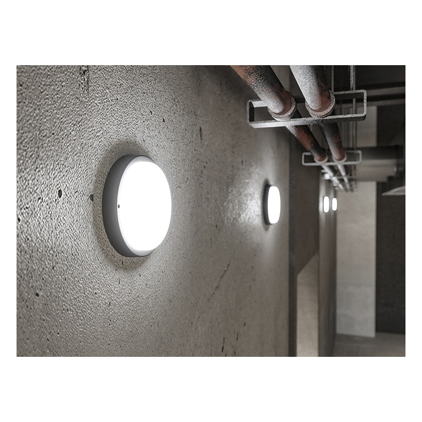 LED zunanja stenska svetilka LED/18W/230V IP54 črna