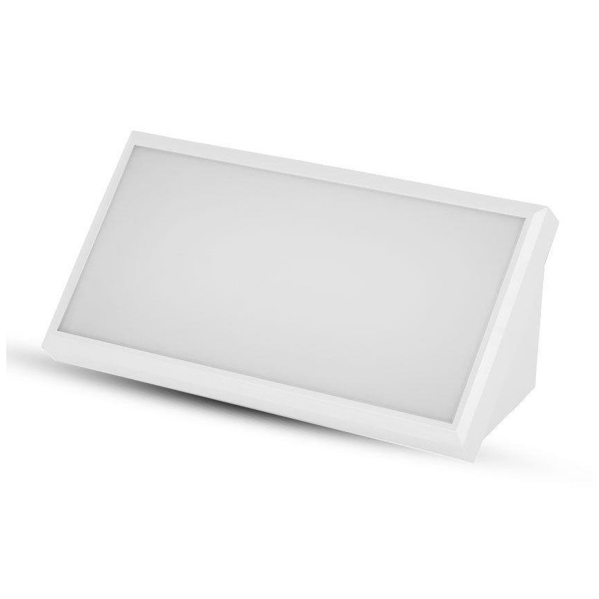 LED Zunanja stenska svetilka LED/20W/230V 4000K IP65 bela