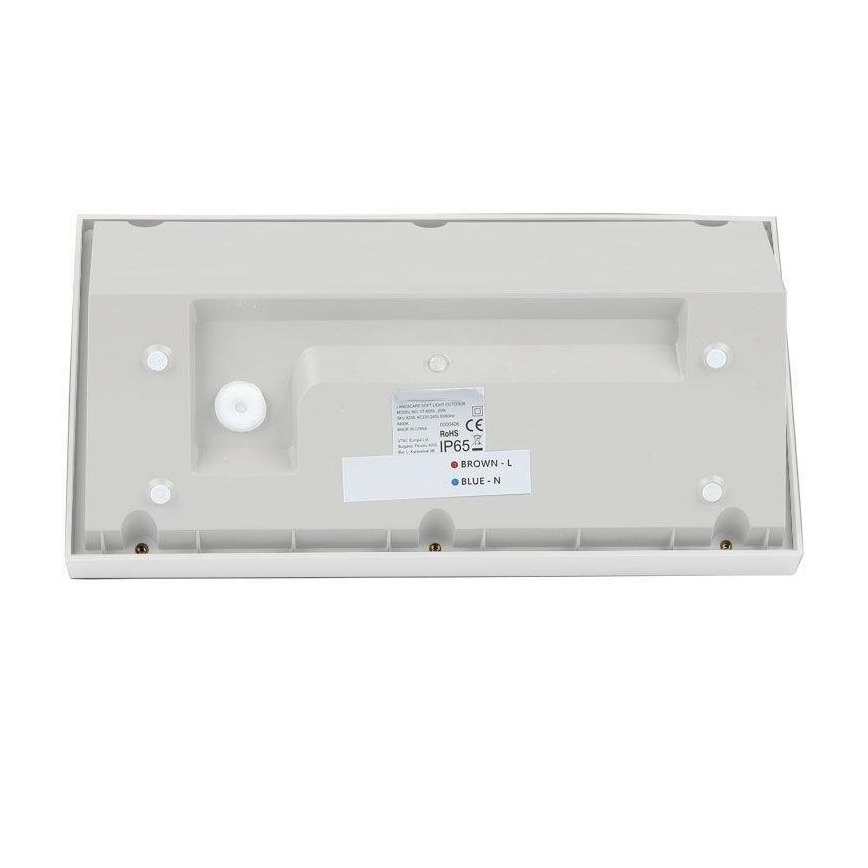 LED Zunanja stenska svetilka LED/20W/230V 4000K IP65 bela