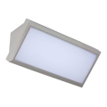 LED Zunanja stenska svetilka LED/20W/230V 4000K IP65 siva