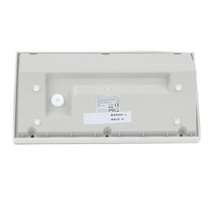 LED Zunanja stenska svetilka LED/20W/230V 6400K IP65 bela