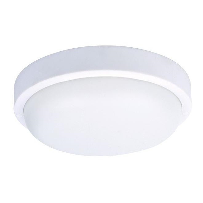 LED Zunanja stenska svetilka LED/20W/230V IP54