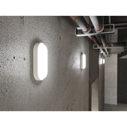 LED zunanja stenska svetilka LED/6W/230V IP54 bela