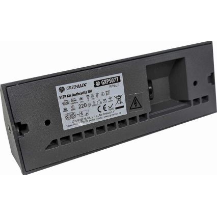 LED Zunanja stenska svetilka LED/6W/230V IP54