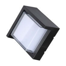 LED Zunanja stenska svetilka LED/7W/230V IP65
