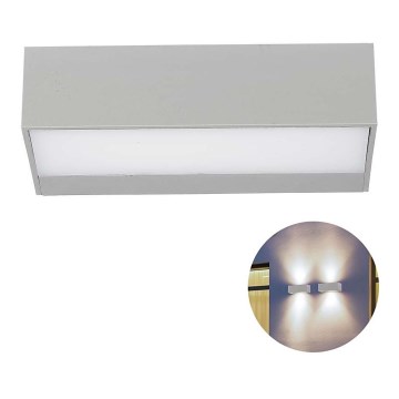 LED Zunanja stenska svetilka LED/9W/230V 6500K IP65