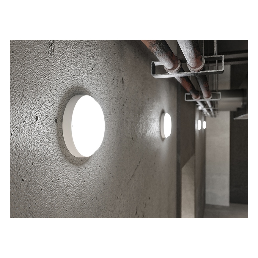 LED Zunanja stenska svetilka LED/9W/230V IP54 bela