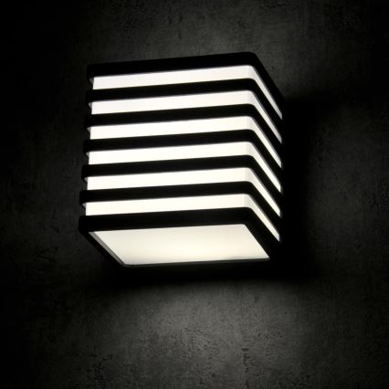 LED Zunanja stenska svetilka MAXWELL LED/10W/230V IP54 grafit