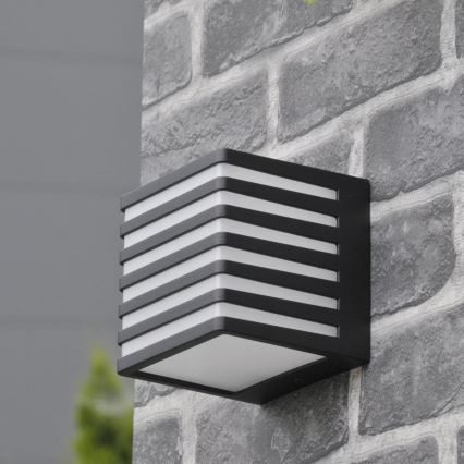 LED Zunanja stenska svetilka MAXWELL LED/10W/230V IP54 grafit