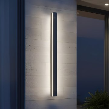 LED zunanja stenska svetilka MIRANA LED/25W/230V 4000K IP44 120 cm črna