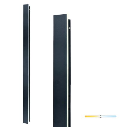 LED zunanja stenska svetilka MIRANA LED/25W/230V 4000K IP44 120 cm črna