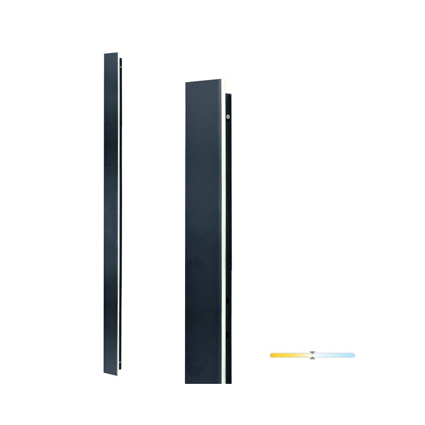 LED zunanja stenska svetilka MIRANA LED/25W/230V 4000K IP44 120 cm črna