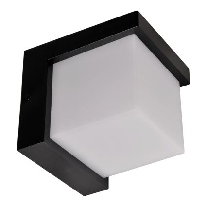 LED Zunanja stenska svetilka MORGAN LED/10W/230V IP54