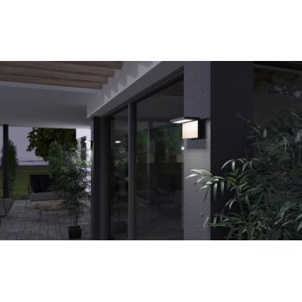 LED Zunanja stenska svetilka NATURA LED/12W/230V 4000K IP65 rjava/antracit