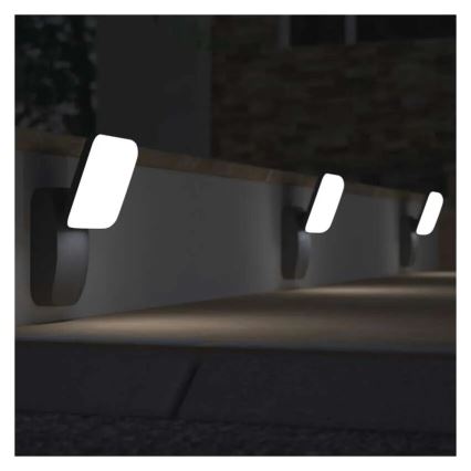 LED Zunanja stenska svetilka NIKA LED/12,5W/230V IP44