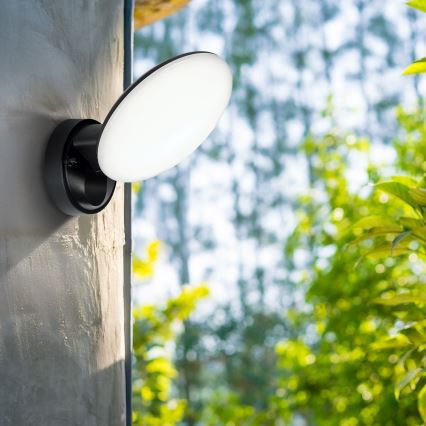 LED zunanja stenska svetilka OLAF LED/10W/230V IP44 črna