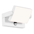 LED zunanja stenska svetilka s senzorjem, 17 W, 230 V, 4000 K, IP65, bela