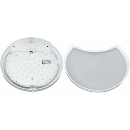 LED Zunanja stenska svetilka s senzorjem HIBIS LED/15W/230V IP44
