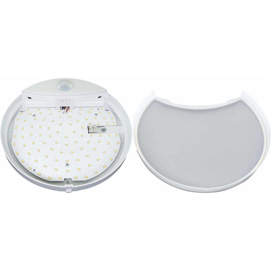 LED Zunanja stenska svetilka s senzorjem HIBIS LED/15W/230V IP44