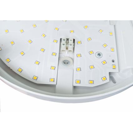 LED Zunanja stenska svetilka s senzorjem HIBIS LED/15W/230V IP44