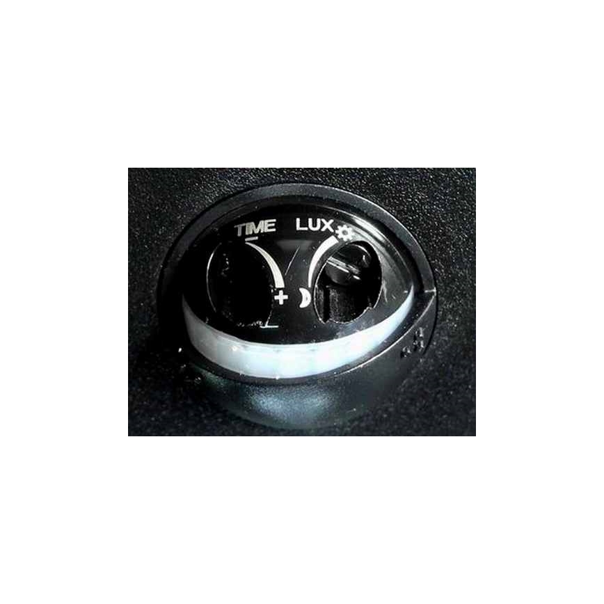 LED Zunanja stenska svetilka s senzorjem LED/10W/230V IP54