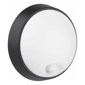 LED Zunanja stenska svetilka s senzorjem LED/12W/230V 3000/4000/6500K IP65 črna