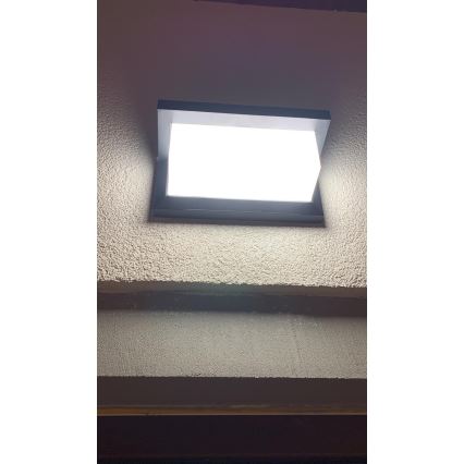 LED Zunanja stenska svetilka s senzorjem LED/12W/230V IP54 črna